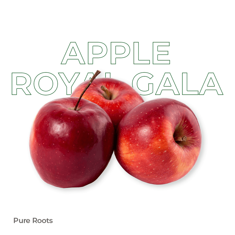 Organic Apple (Royal Gala) Organic Apple (Royal Gala) Organic Mandya