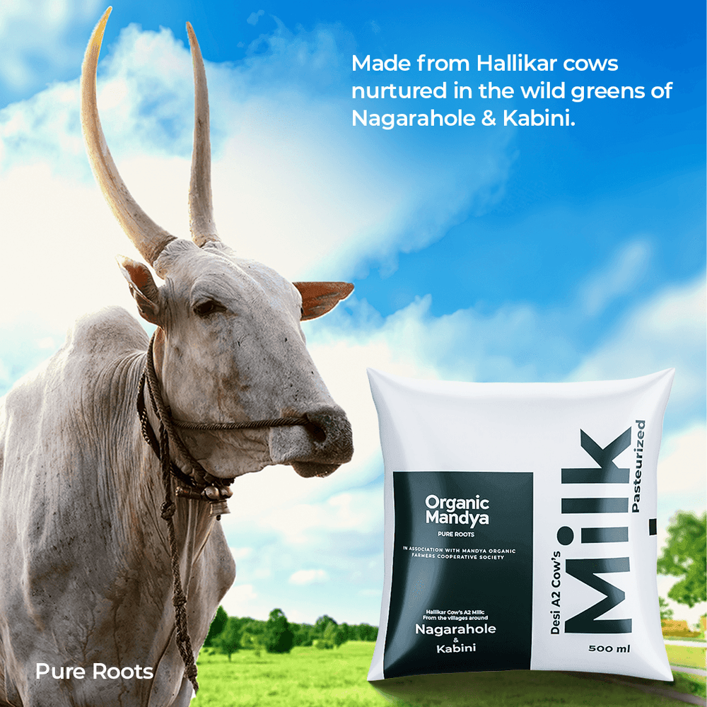 A2 Desi Cow Milk A2 Desi Cow Milk Organic Mandya