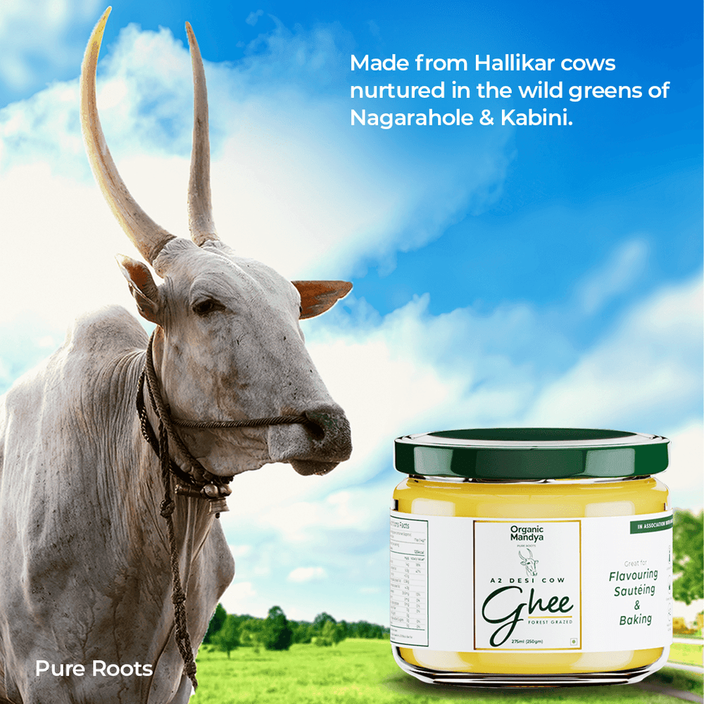 A2 Desi Cow Ghee A2 Desi Cow Ghee Organicmandya