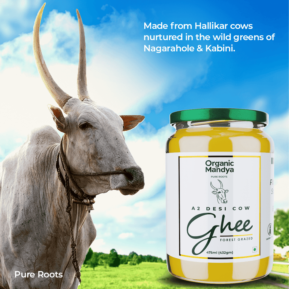 A2 Desi Cow Ghee A2 Desi Cow Ghee Organicmandya