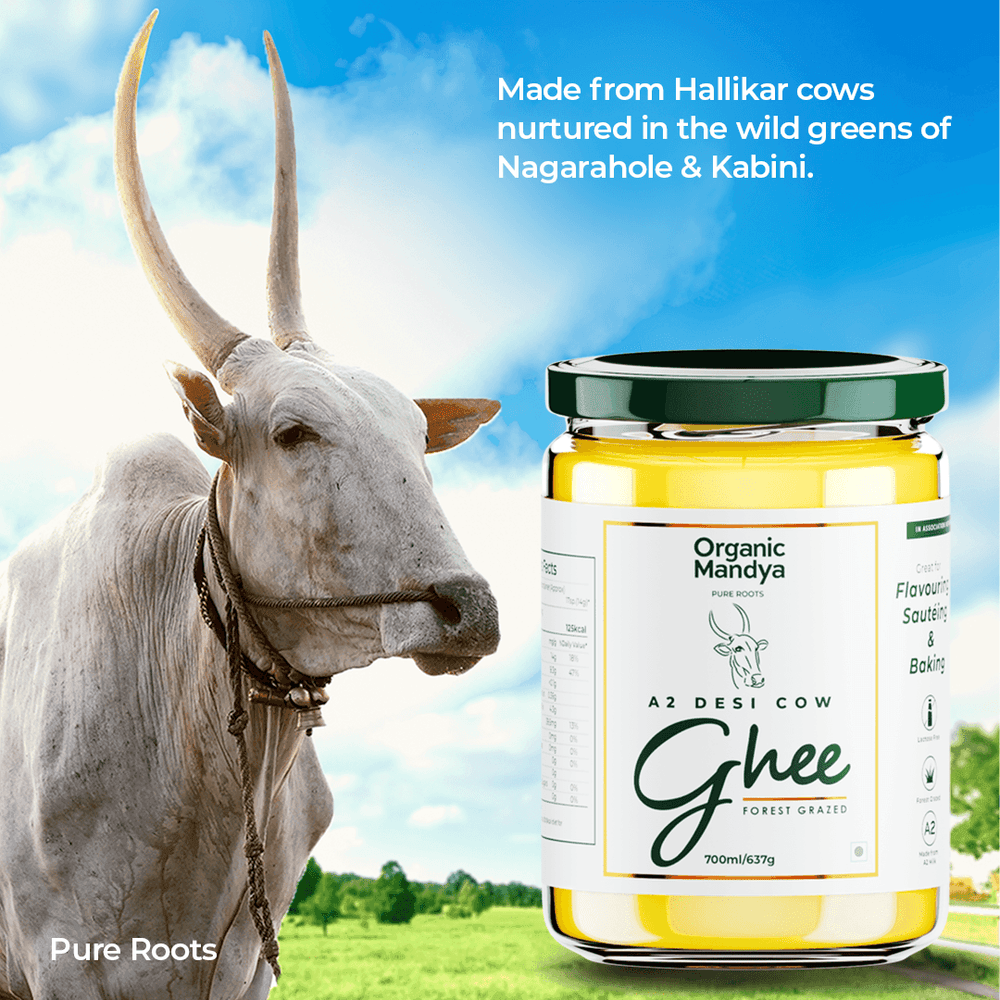 A2 Desi Cow Ghee A2 Desi Cow Ghee Organicmandya