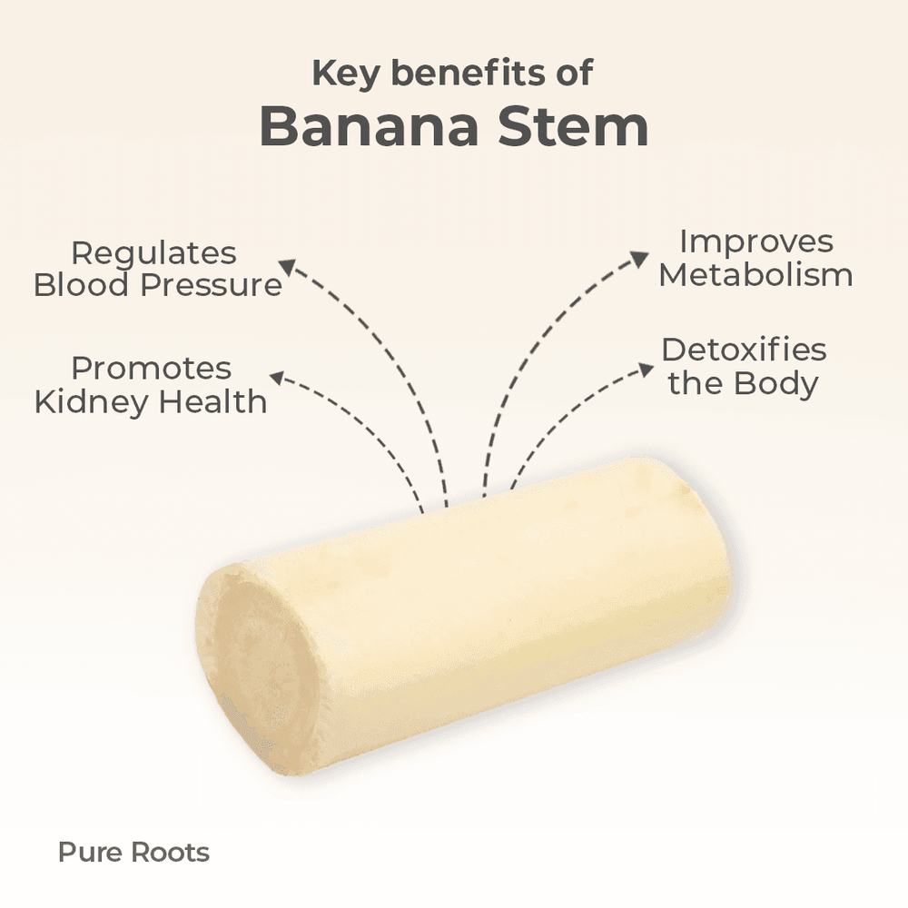Organic Banana Stem Organic Banana Stem Organic Mandya