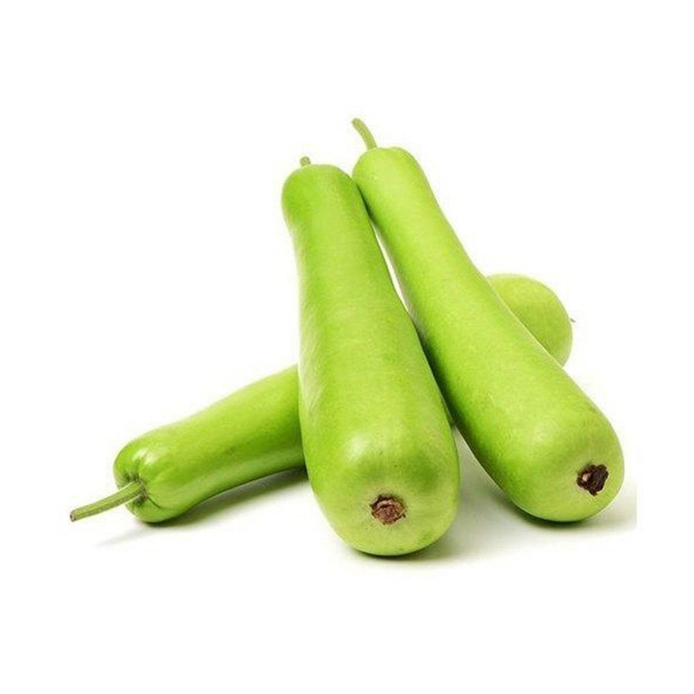 Organic Bottle Gourd Organic Bottle Gourd