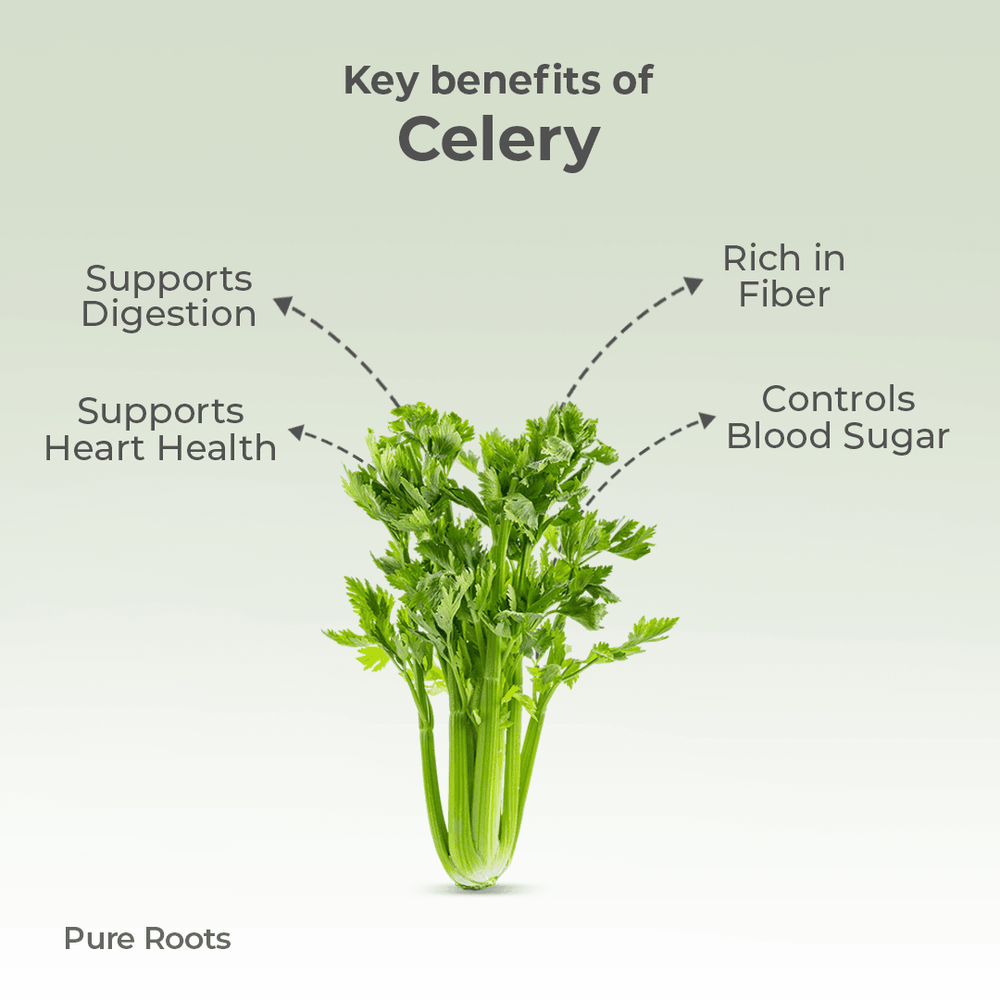 Organic Celery Organic Celery Organic Mandya
