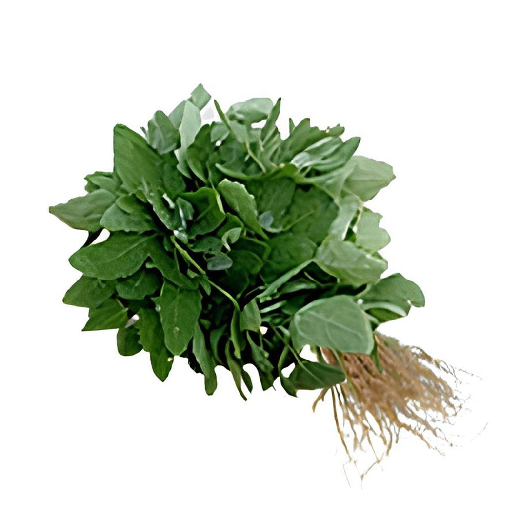 Organic Chakotha Leaves Organic Chakotha Leaves