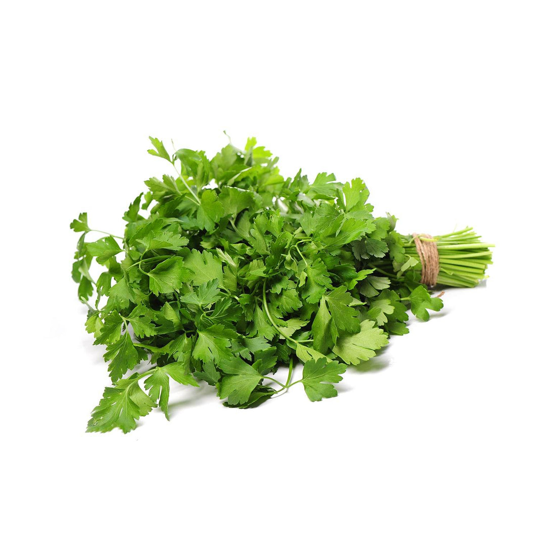 Organic Coriander Leaves Organic Coriander Leaves