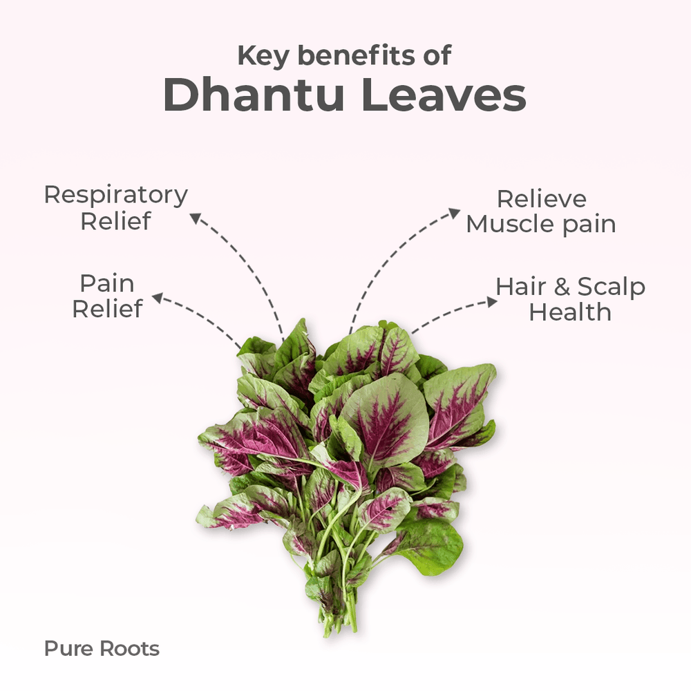 Organic Dhantu Leaves Organic Dhantu Leaves Organic Mandya