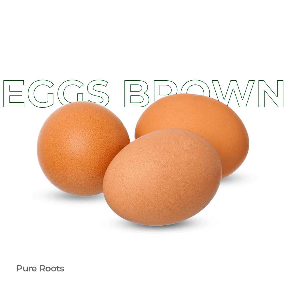 Eggs - Brown Only For (Bengaluru) Eggs - Brown Organic Mandya