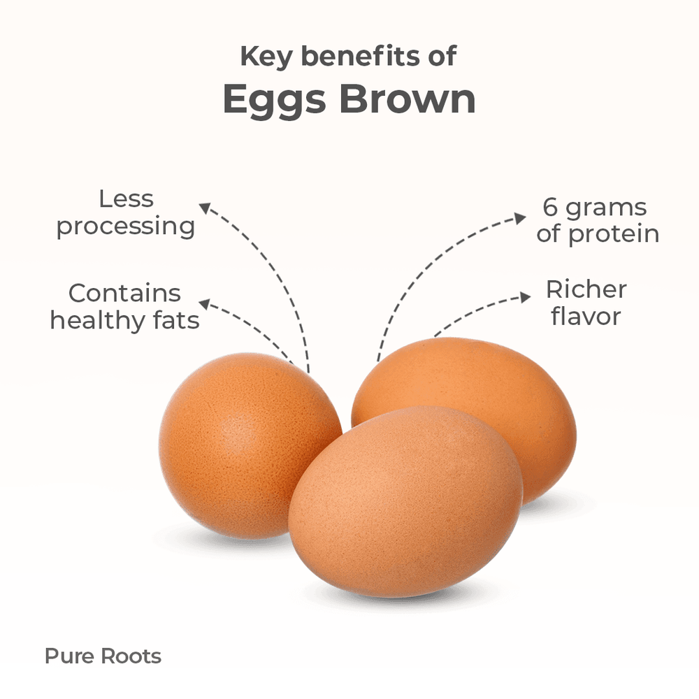 Eggs - Brown Only For (Bengaluru) Eggs - Brown Organic Mandya