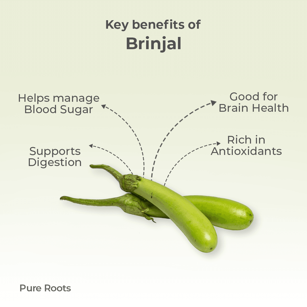 Organic Brinjal Organic Brinjal Organic Mandya