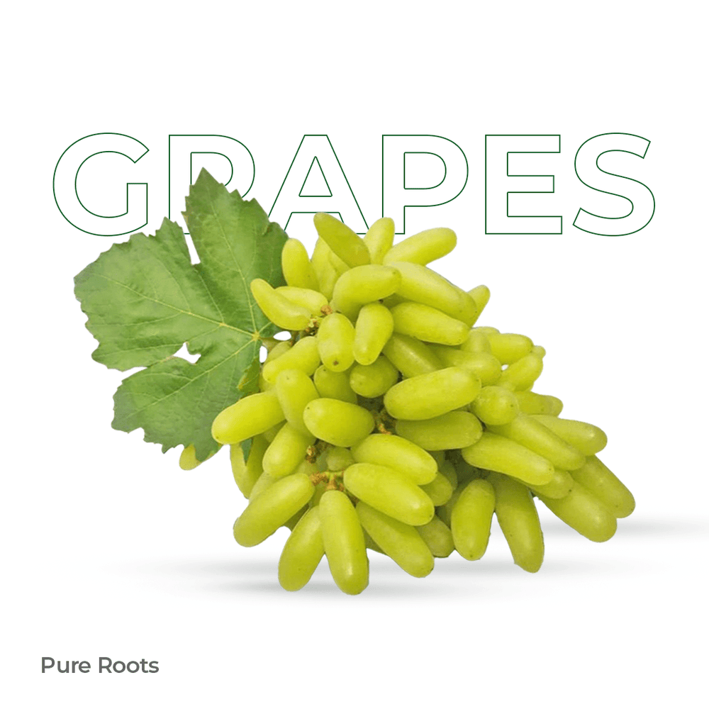 Organic Grapes Organic Grapes Organic Mandya
