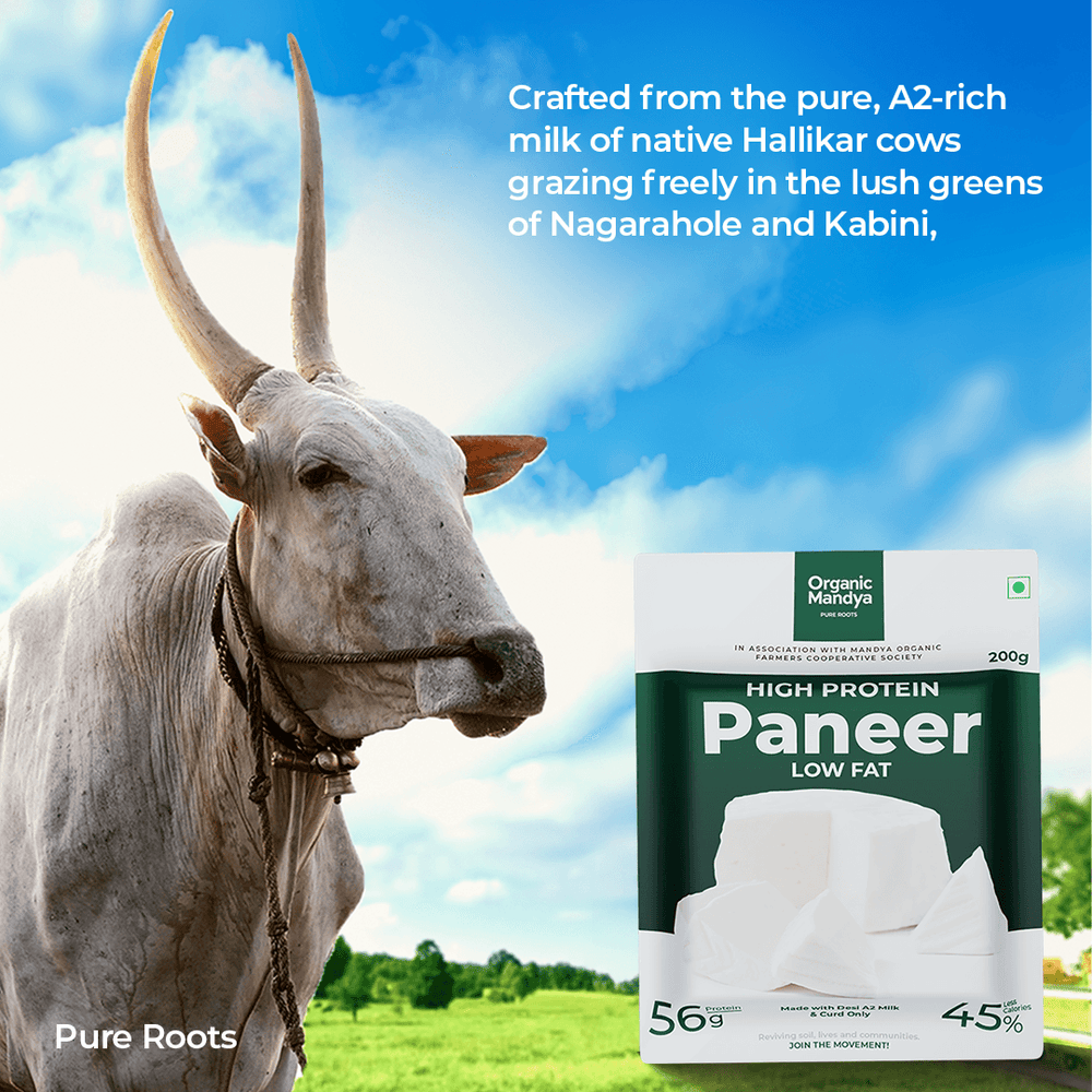 A2 Paneer High Protein - Low Fat Paneer A2 Paneer High Protein - Low Fat Paneer Organic Mandya
