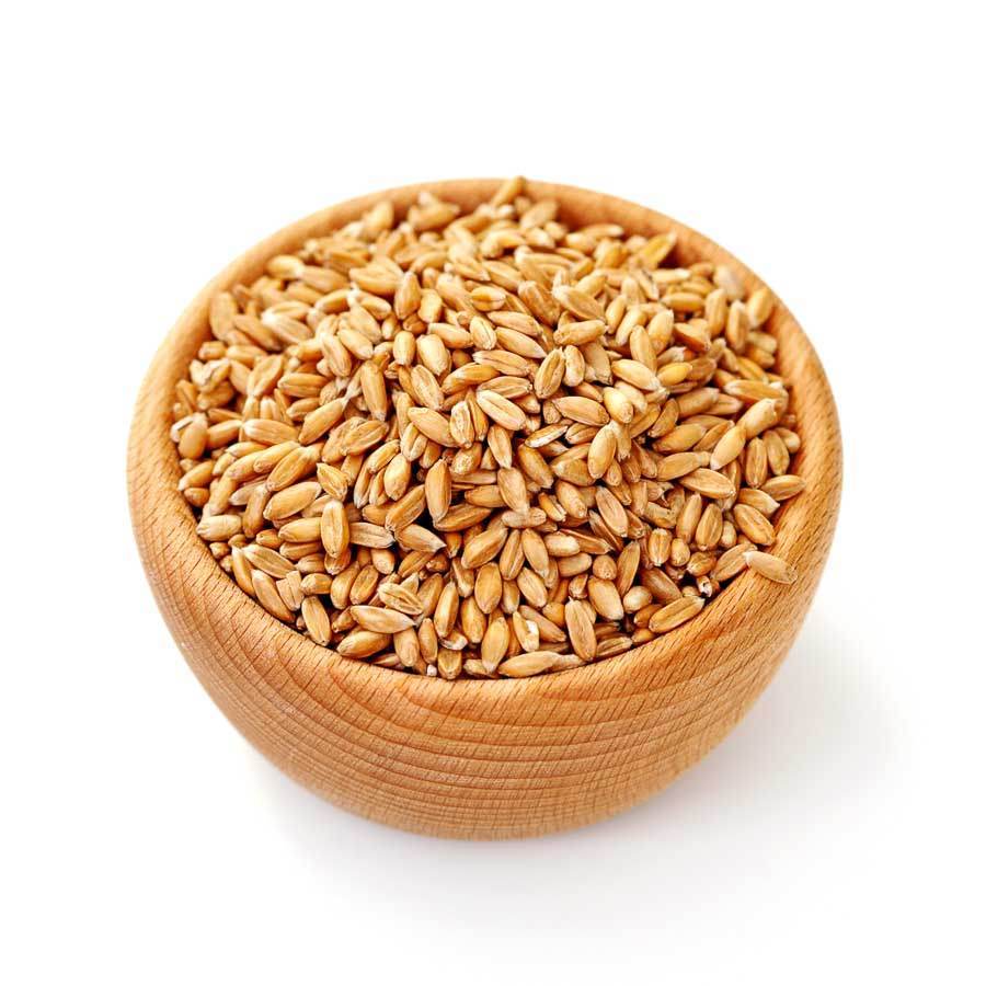Organic Khapli Wheat (Jave) Organic jave wheat