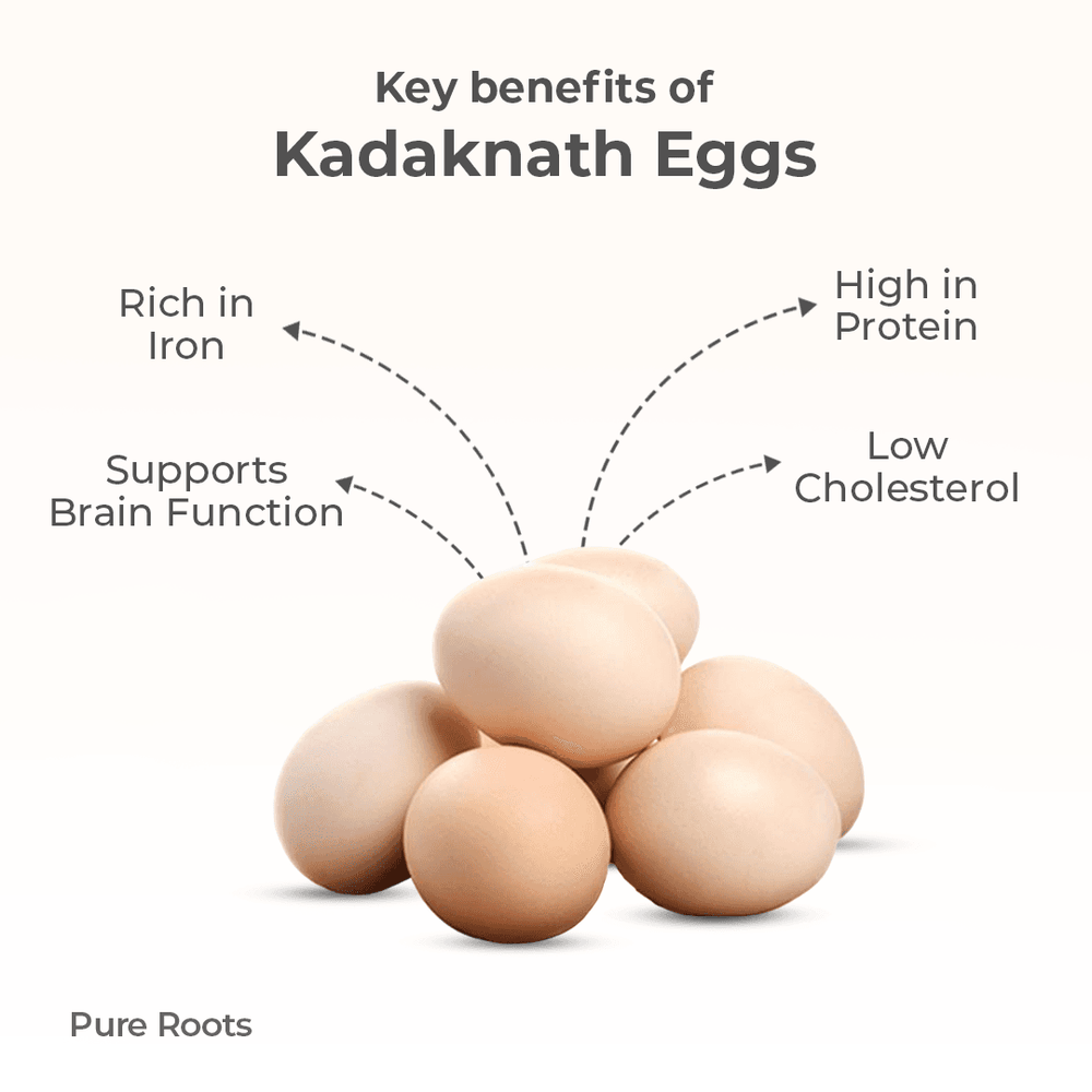 Kadaknath egg (pack of 6) Kadaknath egg Organic Mandya