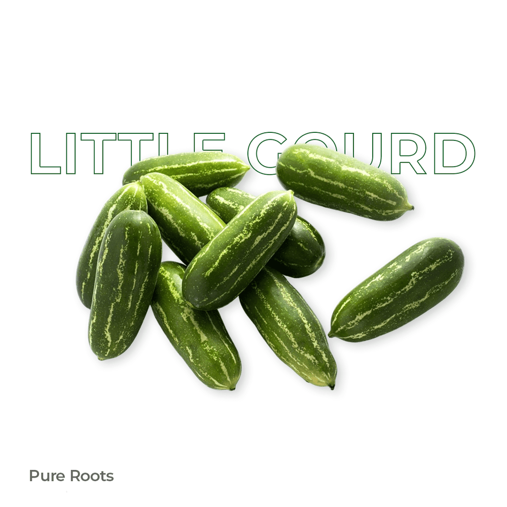 Organic Little Gourd Organic Little Gourd Organic Mandya