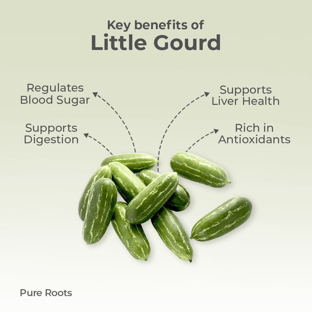Organic Little Gourd Organic Little Gourd Organic Mandya