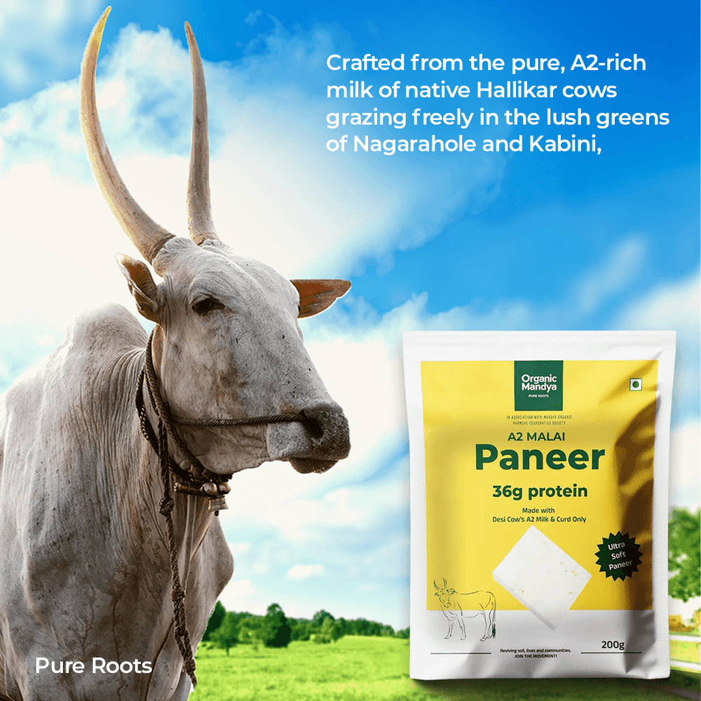 A2 Malai Paneer A2 Malai Paneer Organicmandya