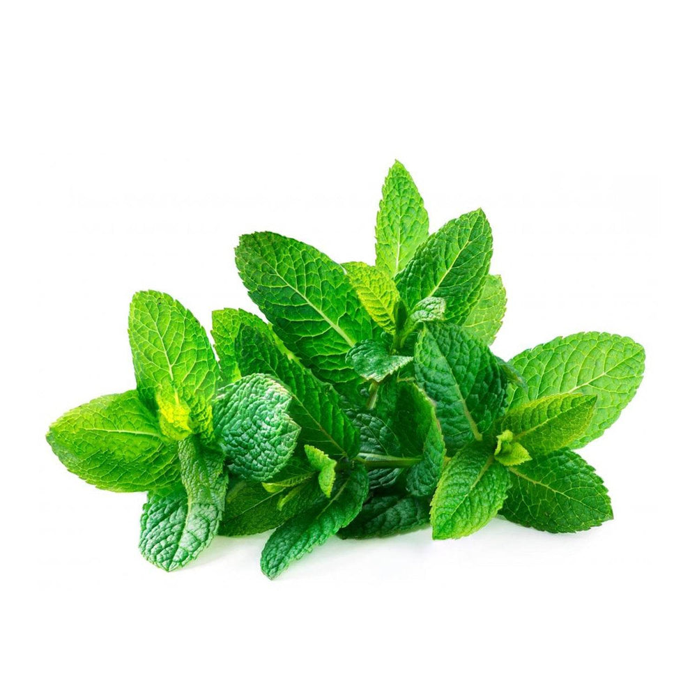 Organic Mint Leaves Organic Mint Leaves