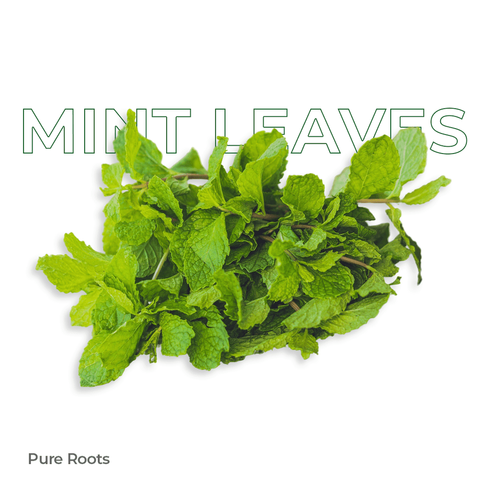 Organic Mint Leaves Organic Mint Leaves Organic Mandya