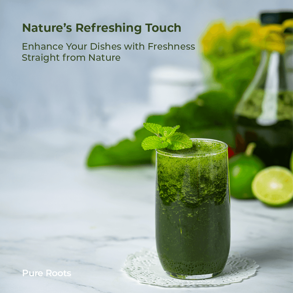 Organic Mint Leaves Organic Mint Leaves Organic Mandya