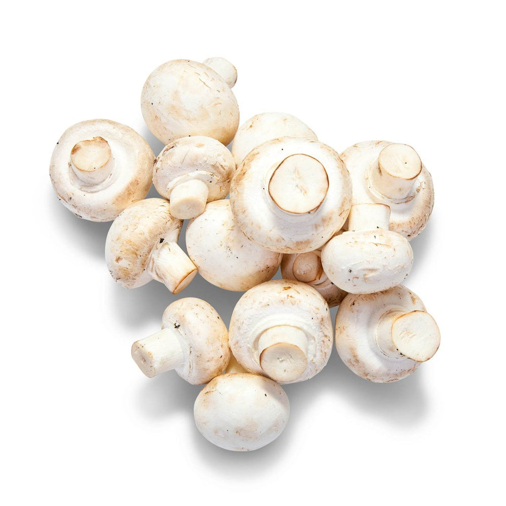 Organic Mushroom Organic Mushroom