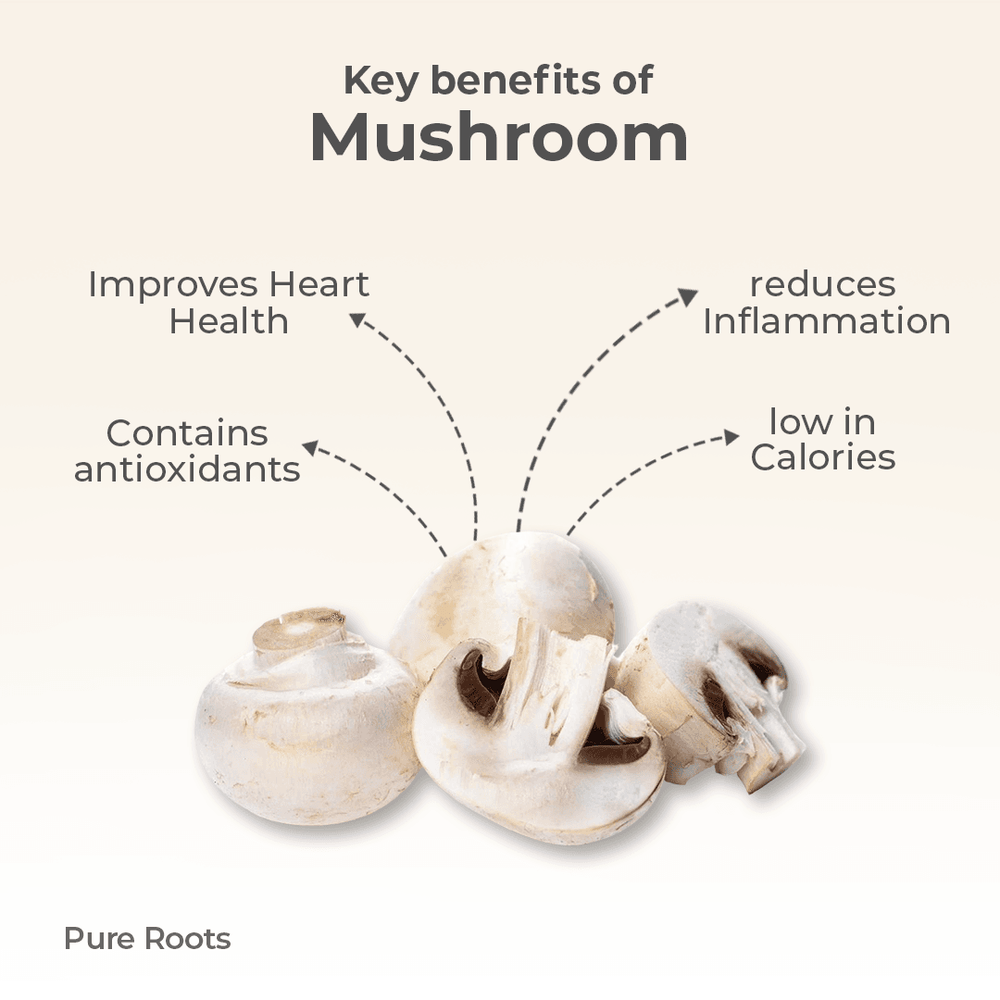 Organic Mushroom Organic Mushroom Organic Mandya