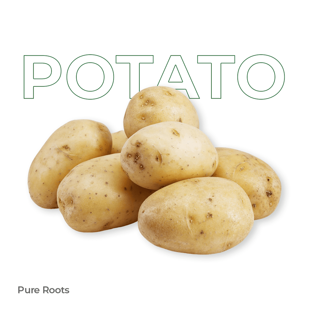 Organic Potato Organic Potato Organic Mandya