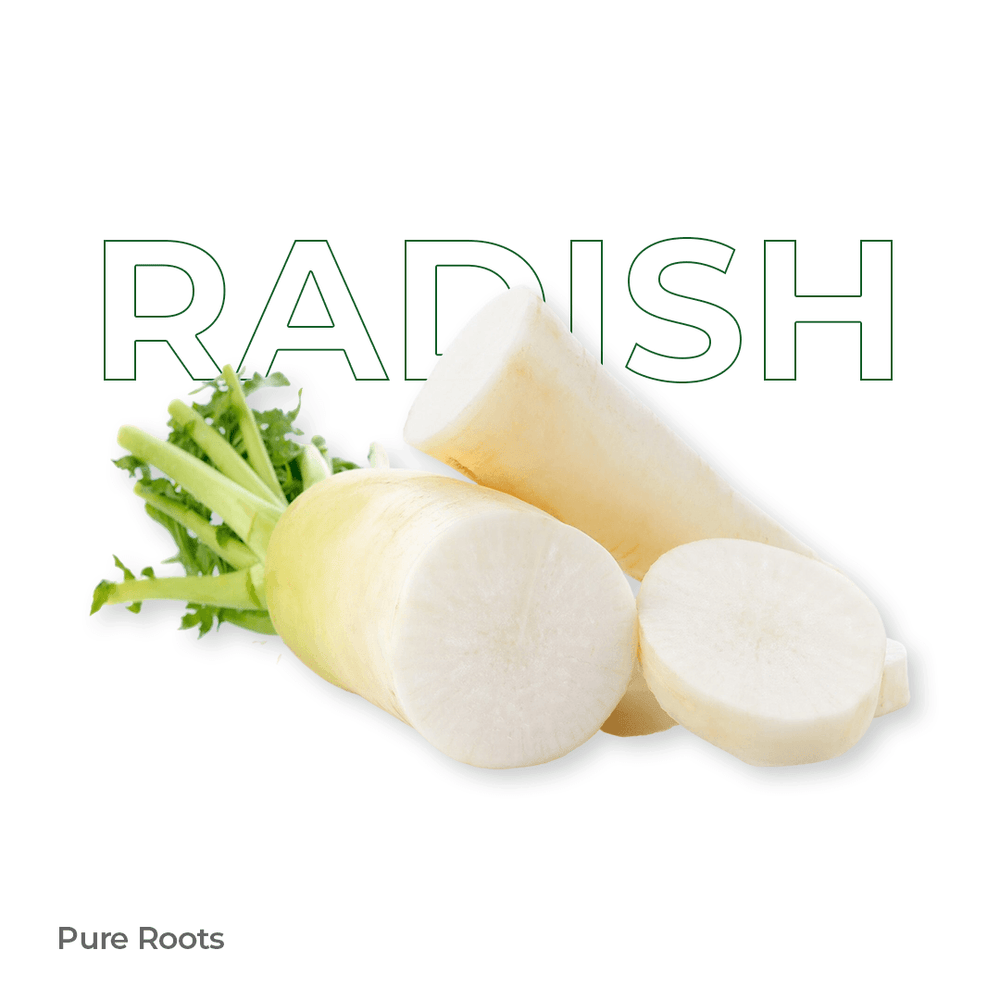 Organic Radish Organic Radish Organic Mandya