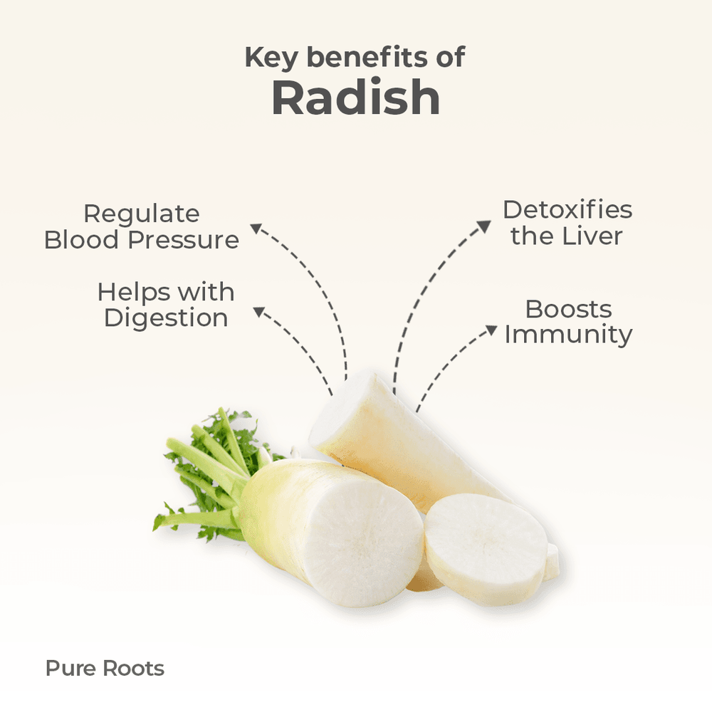 Organic Radish Organic Radish Organic Mandya