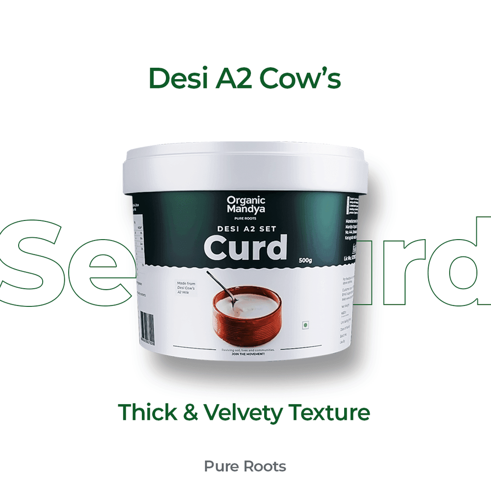 A2 Desi Set Curd A2 Desi Set Curd Organicmandya