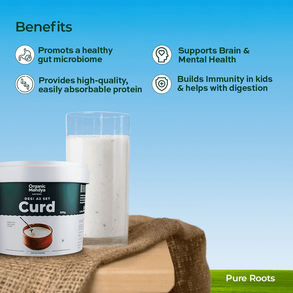 A2 Desi Set Curd A2 Desi Set Curd Organicmandya
