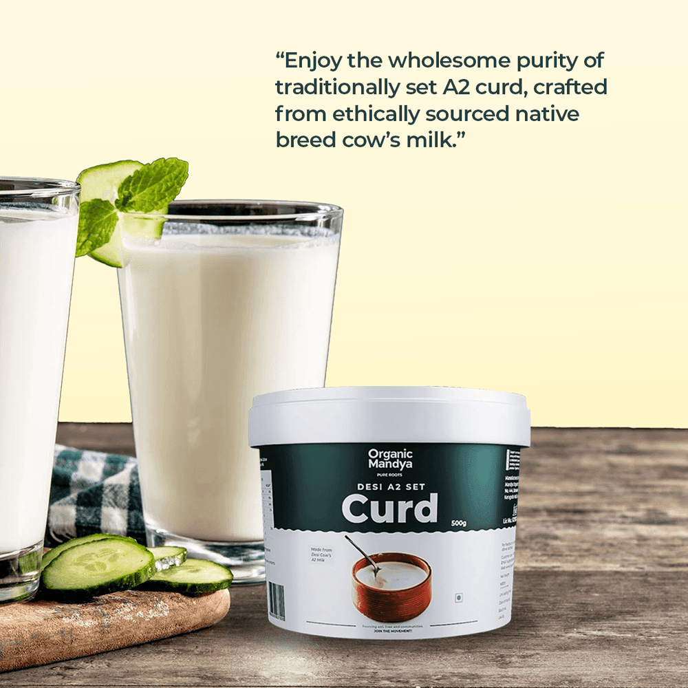 A2 Desi Set Curd A2 Desi Set Curd Organicmandya