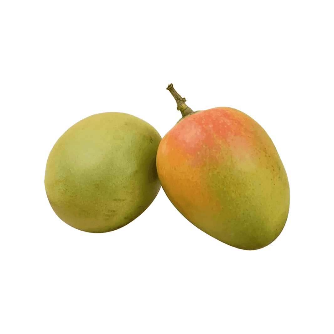 Organic Mango Sindhura Raw (Semi-ripe & mildly sweet) Organic Mango Sindhura Raw (Semi-ripe & mildly sweet)