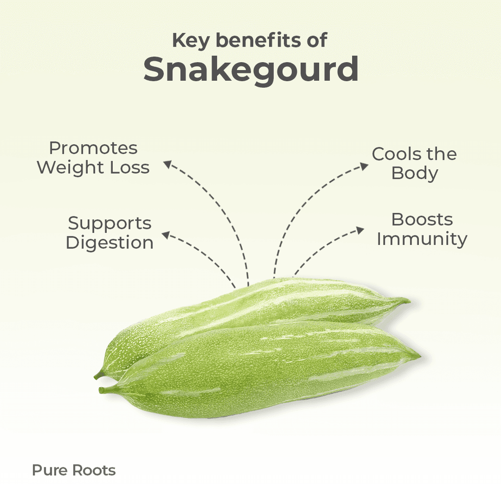 Organic Snakegourd Organic Snakegourd Organic Mandya
