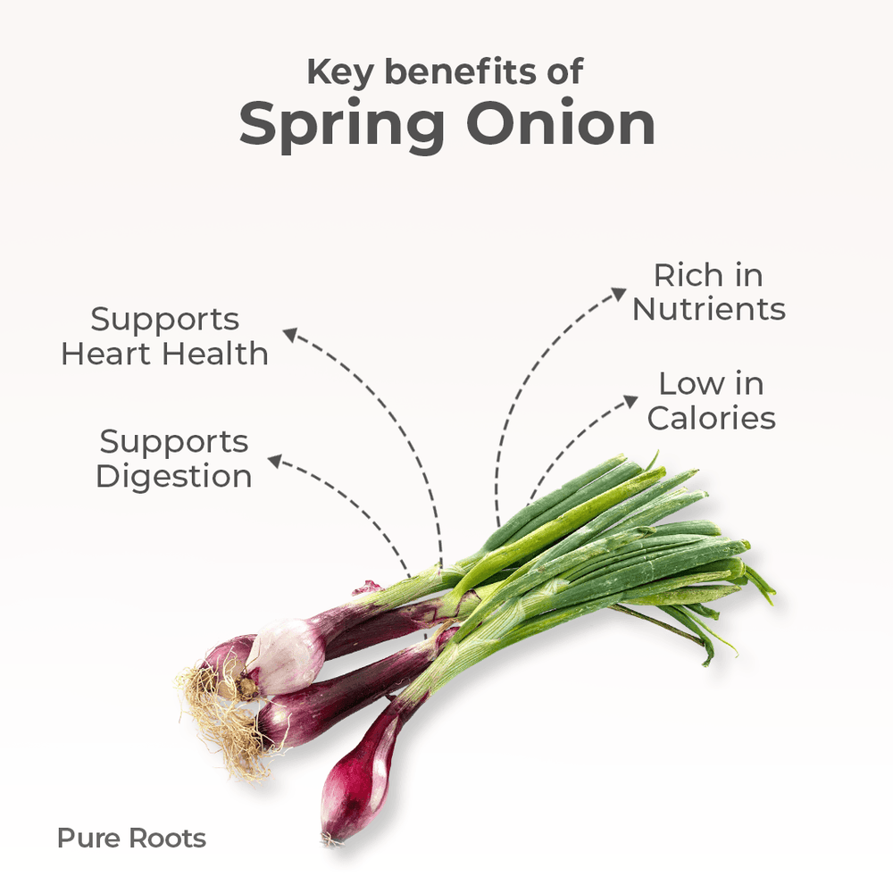 Organic Spring Onion Organic Spring Onion Organic Mandya