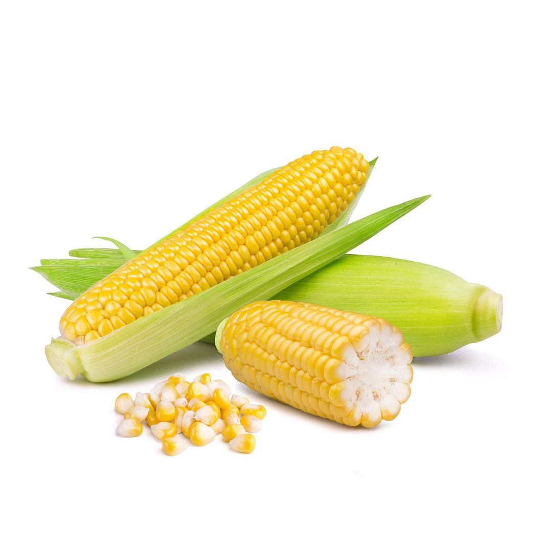 Organic Sweet Corn Organic sweet corn