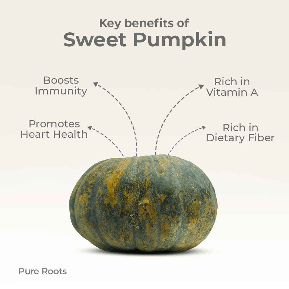 Organic Sweet Pumpkin Organic Sweet Pumpkin Organic Mandya