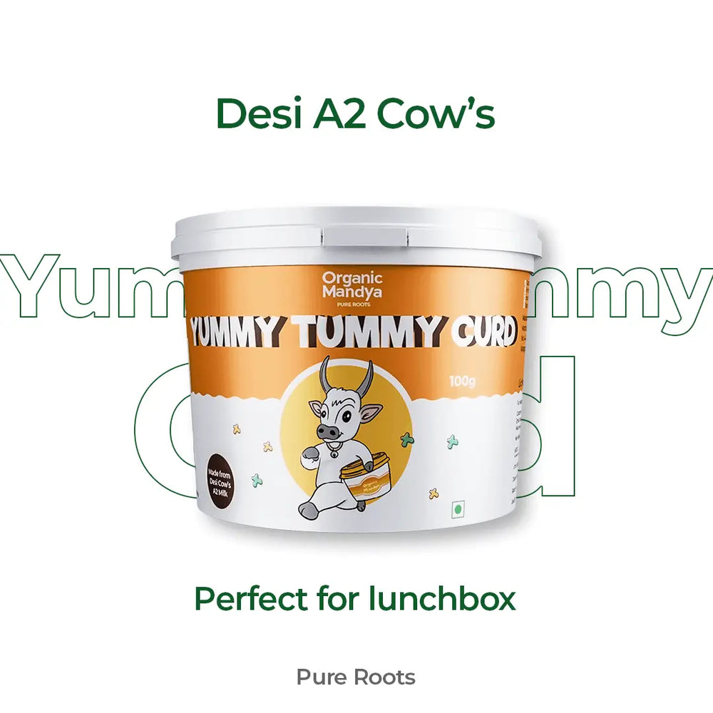 Set Curd for Lunch Box Set Curd for Lunch Box Organic Mandya