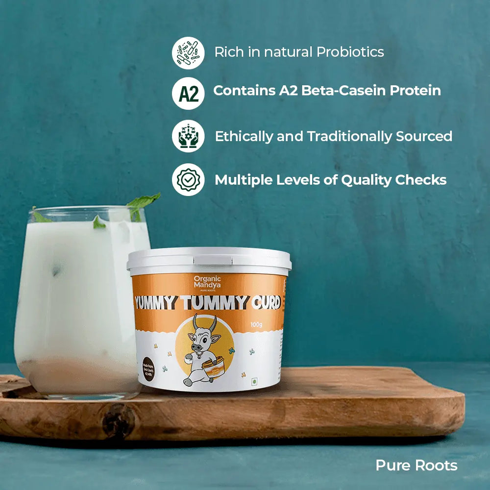 Set Curd for Lunch Box Set Curd for Lunch Box Organic Mandya