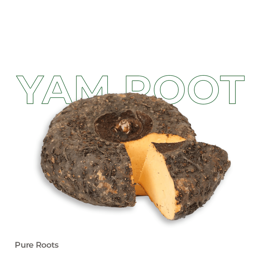 Organic Yam Root Organic Yam Root Organic Mandya