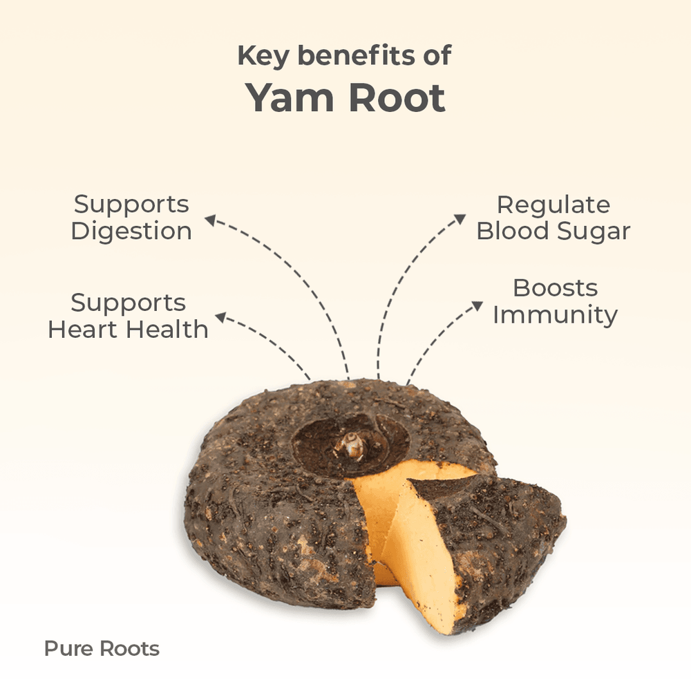 Organic Yam Root Organic Yam Root Organic Mandya