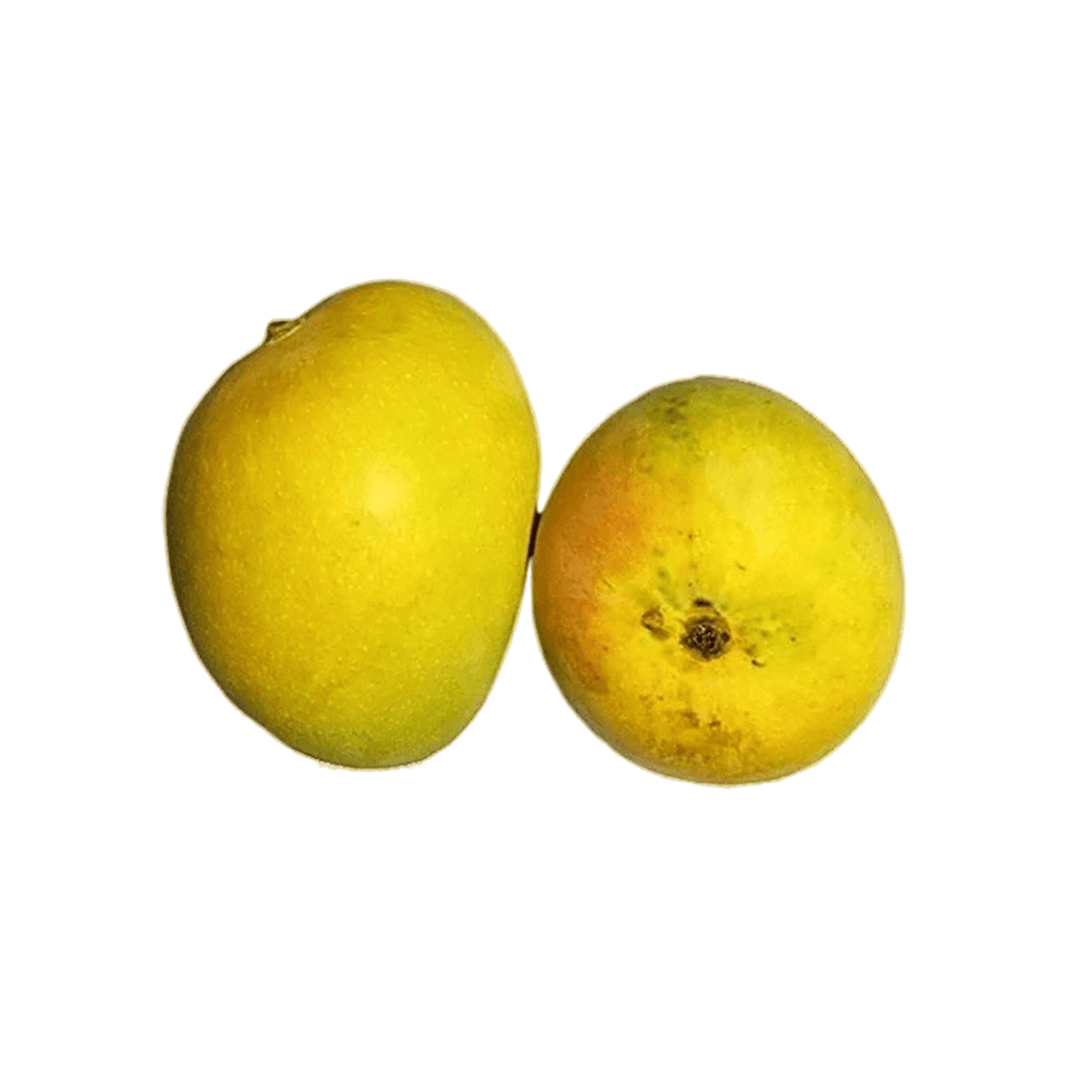 Organic Mango Alphonso (Semi-ripe & mildly sweet) Organic Mango Alphonso (Semi-ripe & mildly sweet)