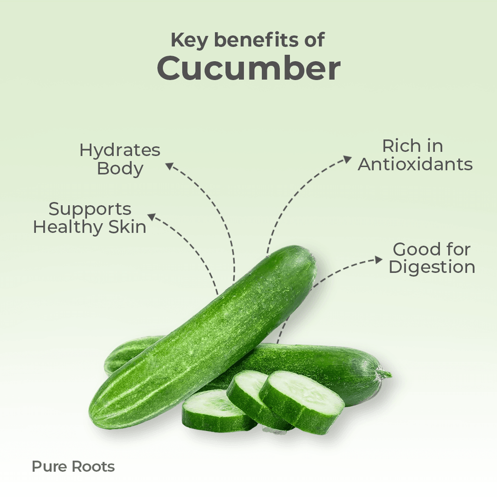 Organic Cucumber Organic Cucumber Organic Mandya