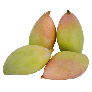 Organic Mango totapuri