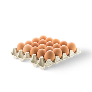 Eggs Brown
