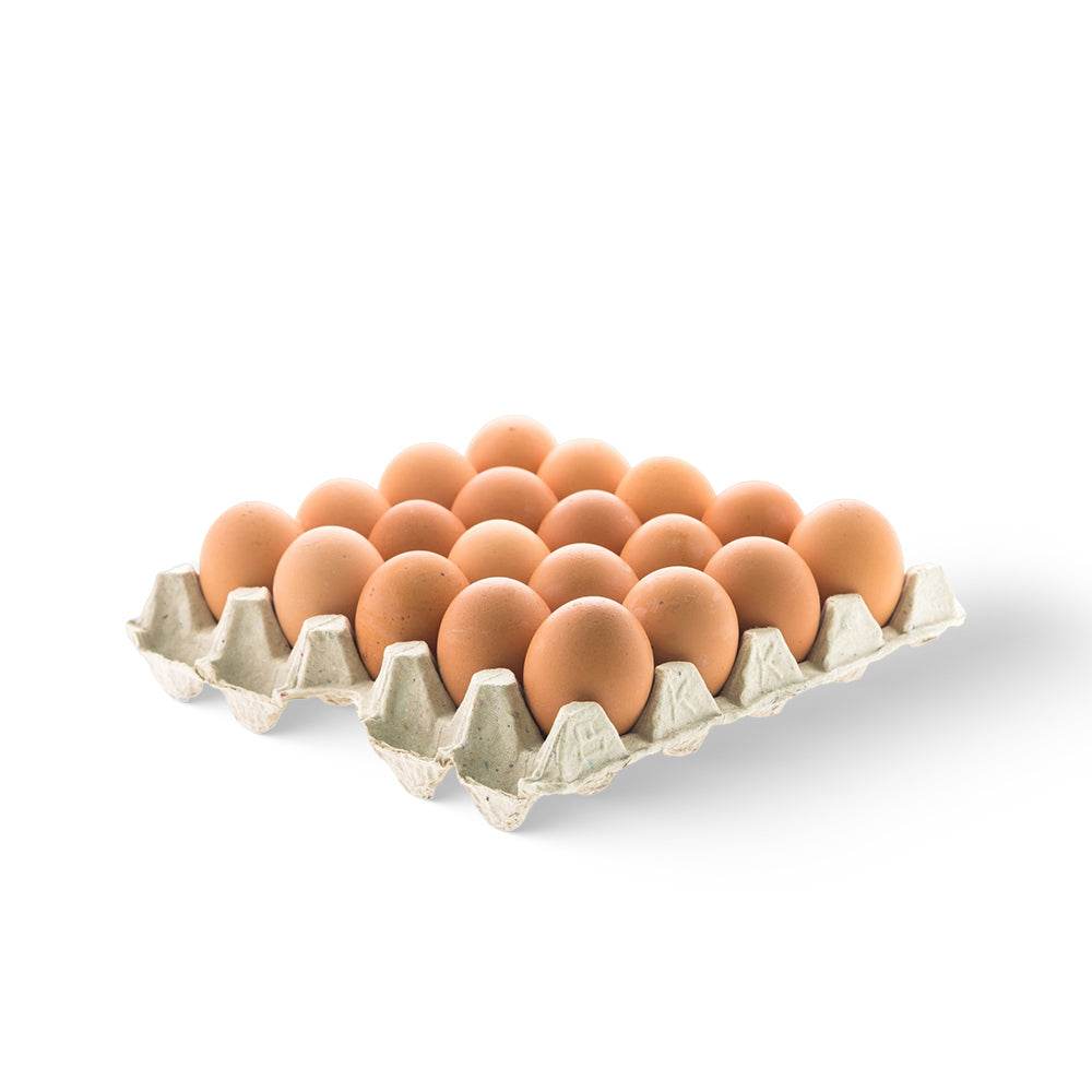 Eggs Brown