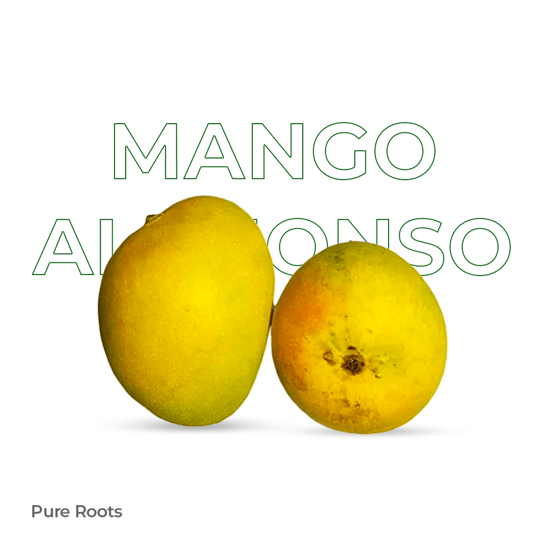 Organic Mango Alphonso (Semi-ripe & mildly sweet) Organic Mandya