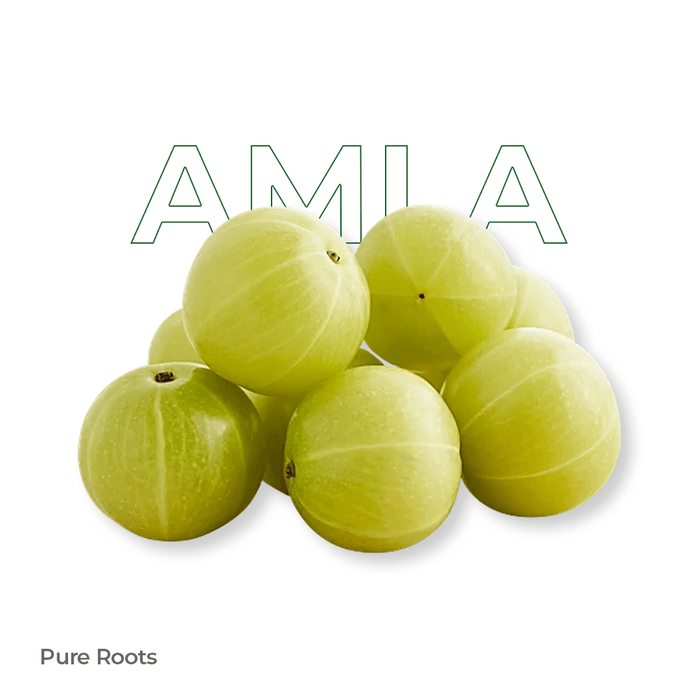 Organic Amla Organic Mandya