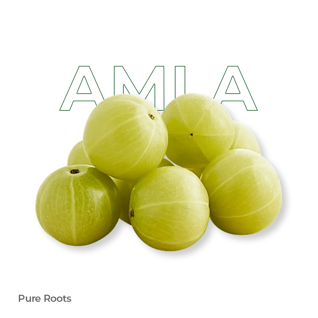Organic Amla Organic Mandya
