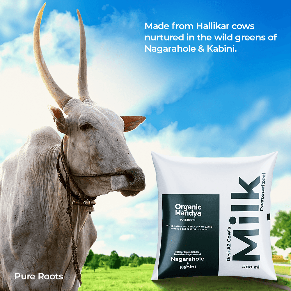 A2 Desi Cow Milk Organic Mandya
